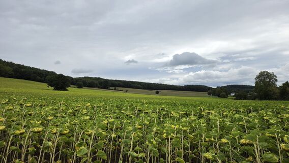Foto von fschwarzenberger entlang der Tour