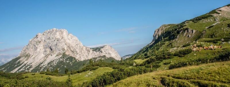 Traumhafter Blick auf den Brandstein