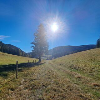 Fotografija s spletne strani ursula korn na poti