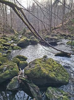 Fotografie z PerryB na trase