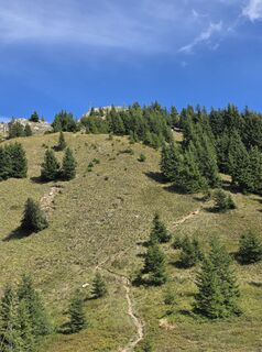 Photo de Florian Dürnegger le long du parcours