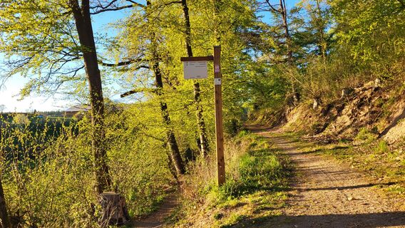 Wandern in der Urlaubsregion Medebach