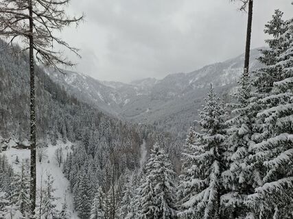 Foto von Mike the hike entlang der Tour