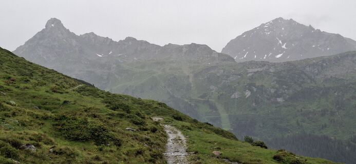Fotografija s spletne strani David Bubenheim na poti