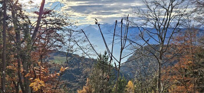 Fotografija s spletne strani Roswitha Polz na poti