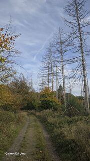 Photo de Edit Szoboszlay le long du parcours