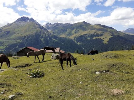 Photo de maria jose poltera le long du parcours