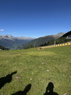 Fotografie de la Filäp de-a lungul turului
