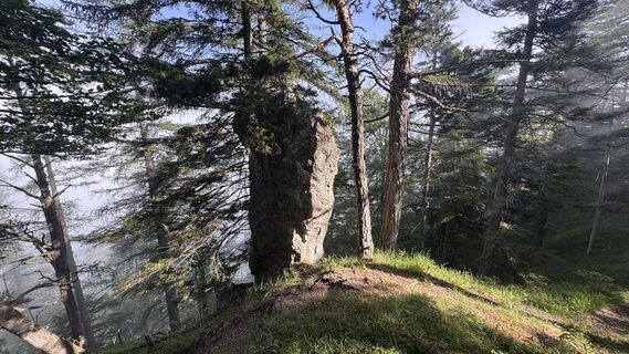 Fotografija s spletne strani Fex na poti