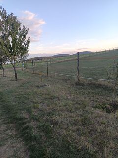 Fotografija s spletne strani Jozsefpocsi16 na poti