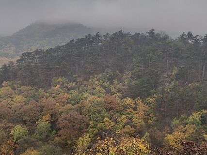 Fotó a Lajos Jozsa honlapról a túra során
