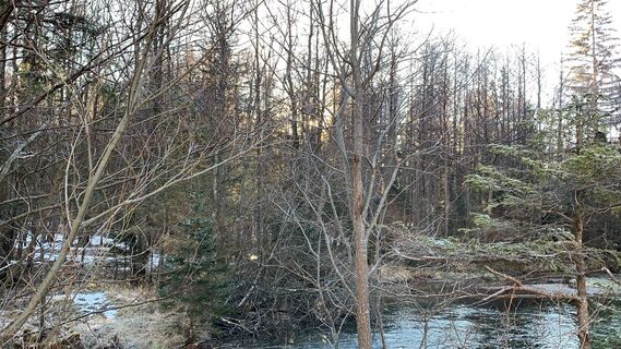 Fotó a Lomalinda honlapról a túra során