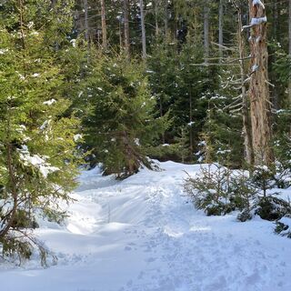 Photo de Thomas Schekira le long du parcours