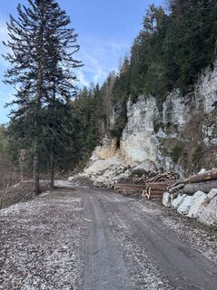 Fotografia z Davide bizzotto na trase