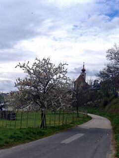 Photo de Eurelia le long du parcours