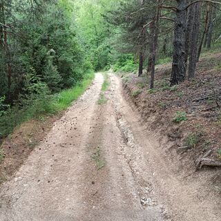 Anfahrt nach Yakoruda