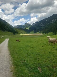 Foto von Franto entlang der Tour