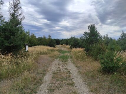 Foto de Làszló Visi a lo largo del recorrido