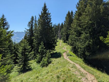 Fotografija s spletne strani Leif na poti