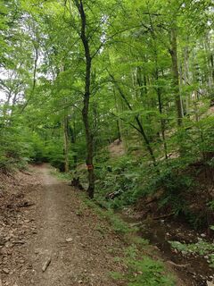 Photo de Katona Ferk Mariann le long du parcours