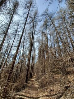 Fotografija s spletne strani Daniele Spezia na poti