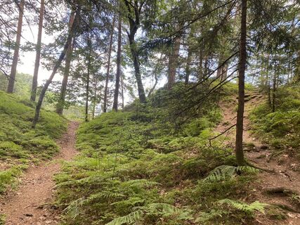 Foto von Lana donlagic entlang der Tour