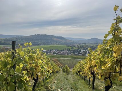 Fotografie de la Ralf Umminger de-a lungul turului