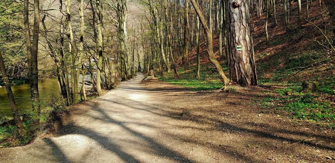 Photo de Rade Iljic le long du parcours