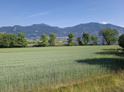 Foto von hawiwandern entlang der Tour