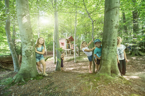 Der Hüttenspielplatz am Waldkulturpfad