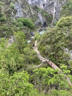 Photo de Amiks le long du parcours