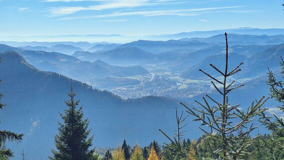 Fotografija s spletne strani Regina Fleischmann na poti