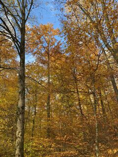 Fotografia z Rupert Hoeppe na trase