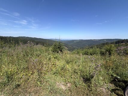 Fotografija s spletne strani bergfexalf na poti