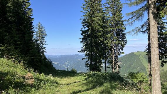 Foto von Christian Kakuska entlang der Tour