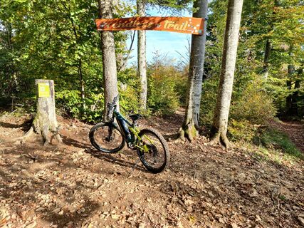 Foto von Thomas Singeisen entlang der Tour