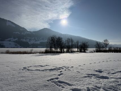 Fotografija s spletne strani Norbert Herbig na poti