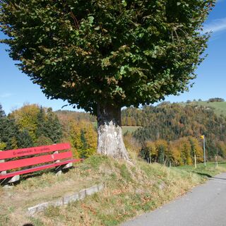 Mischleren - Schwarzwasser-Sense-Schluchtenweg Etappe 1