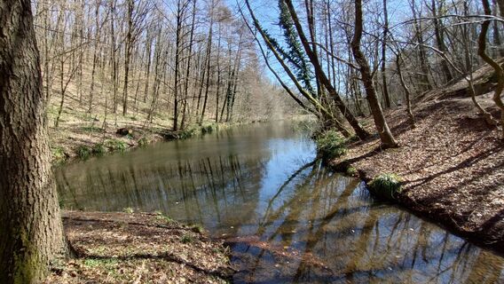 Foto de István Gábor 1 a lo largo del recorrido