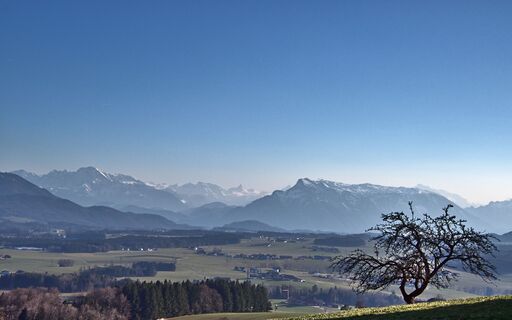 Unterhalb des Buchberggipfels (Alpenblick Buchbergwirt)