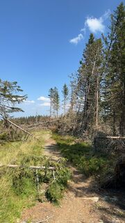 Fotó a Mani S honlapról a túra során