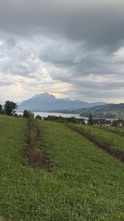Foto de Semir Brzovic a lo largo del recorrido