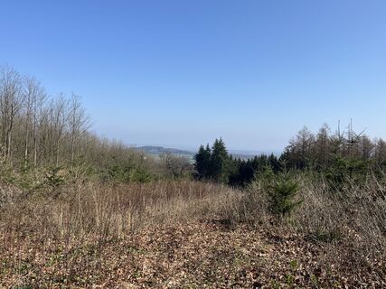 Zdjęcie z Stefan Bonnes wzdłuż trasy