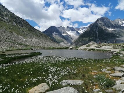 Fotografija s spletne strani luyyy na poti