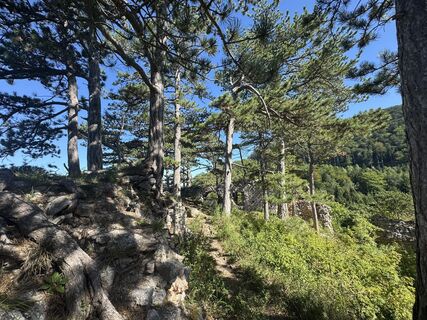 Фото с сайта Gerhard Piglmann во время экскурсии