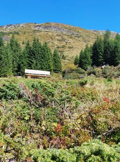 Foto von Gerhard Schmid 1 entlang der Tour