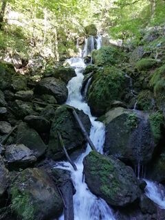 Foto von Christina Turnwald entlang der Tour