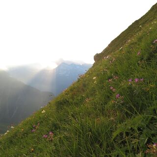 Sonnenuntergang beim Abstieg vom Omeshorn