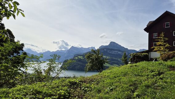 Foto de alinradu a lo largo del recorrido