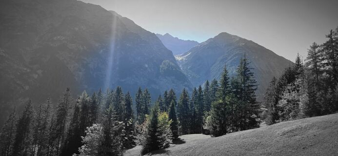 Photo de Silke Vonderlehr le long du parcours